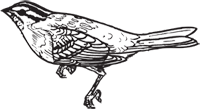 Clipart Image For Gravemarker Monument Bird 10