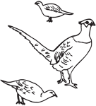 Clipart Image For Gravemarker Monument Bird 11