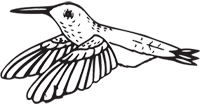 Clipart Image For Gravemarker Monument Bird 28