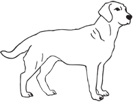 Clipart Image For Gravemarker Monument Dog 15