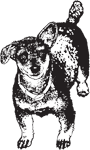 Clipart Image For Gravemarker Monument Dog 30