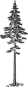 Clipart Image For Gravemarker Monument tree 11